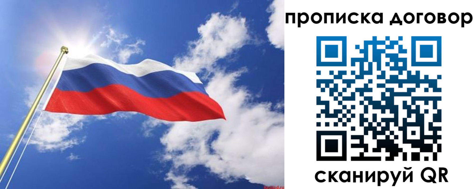 прописка гарантия в Брянской области